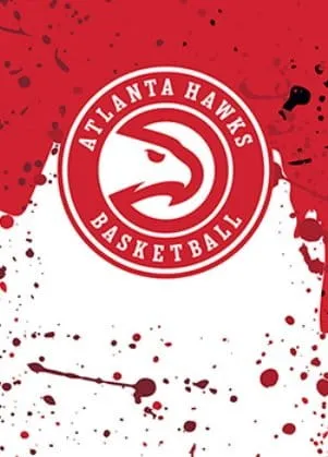 aro Wilson NBA TEAM MINI HOOP ATLANTA HAWKS