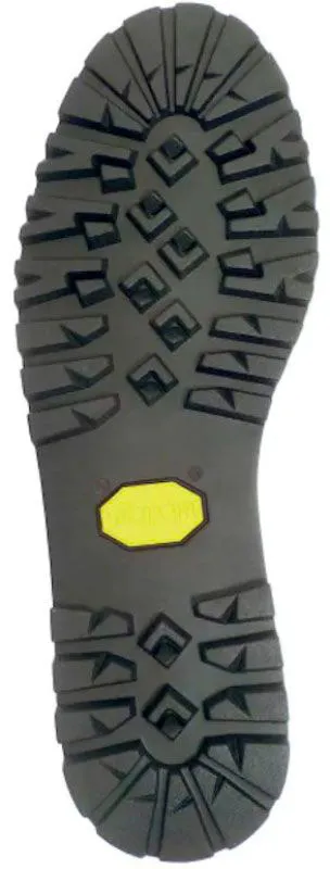 Botas garmont Ascent GTX W