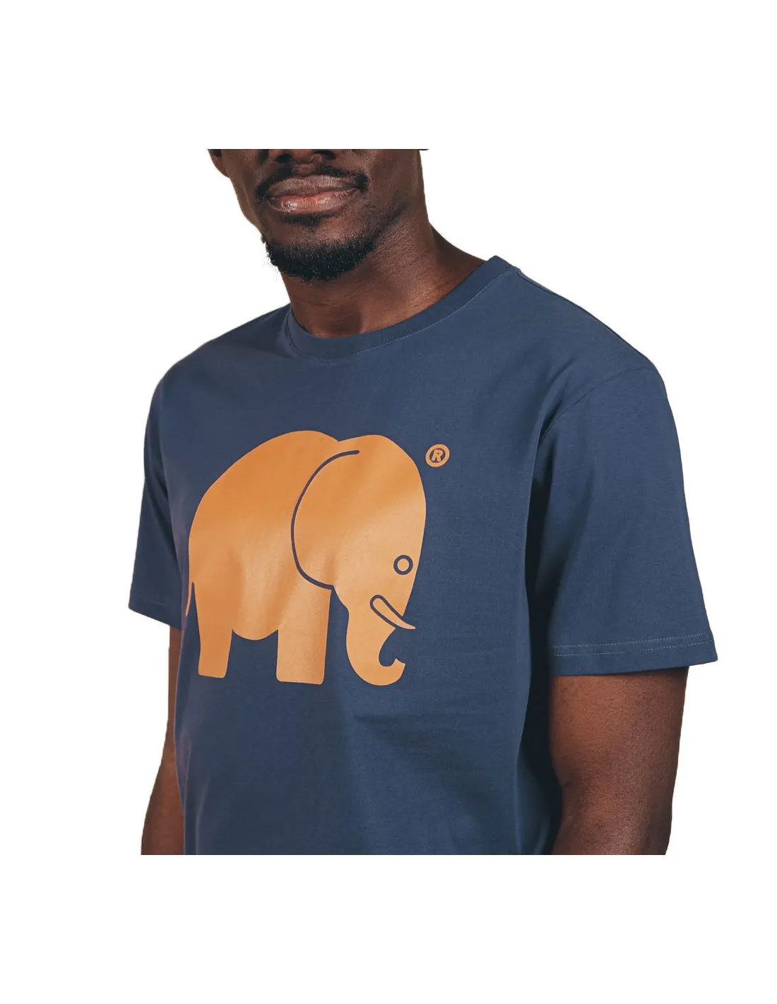 TRENDSPLANT BLUE